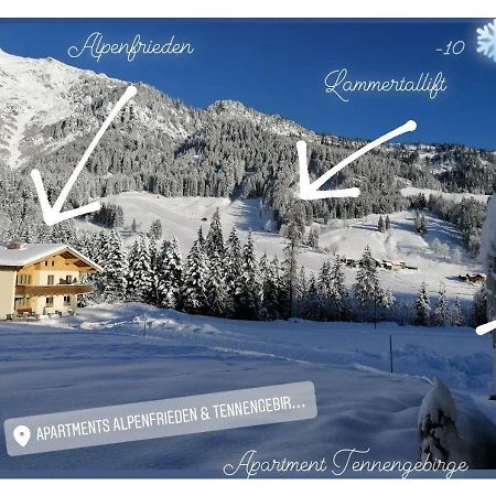 Apartment Tennengebirge ซังต์ มาร์ติน อัม เทนเนนเกอเบียร์เกอ ภายนอก รูปภาพ
