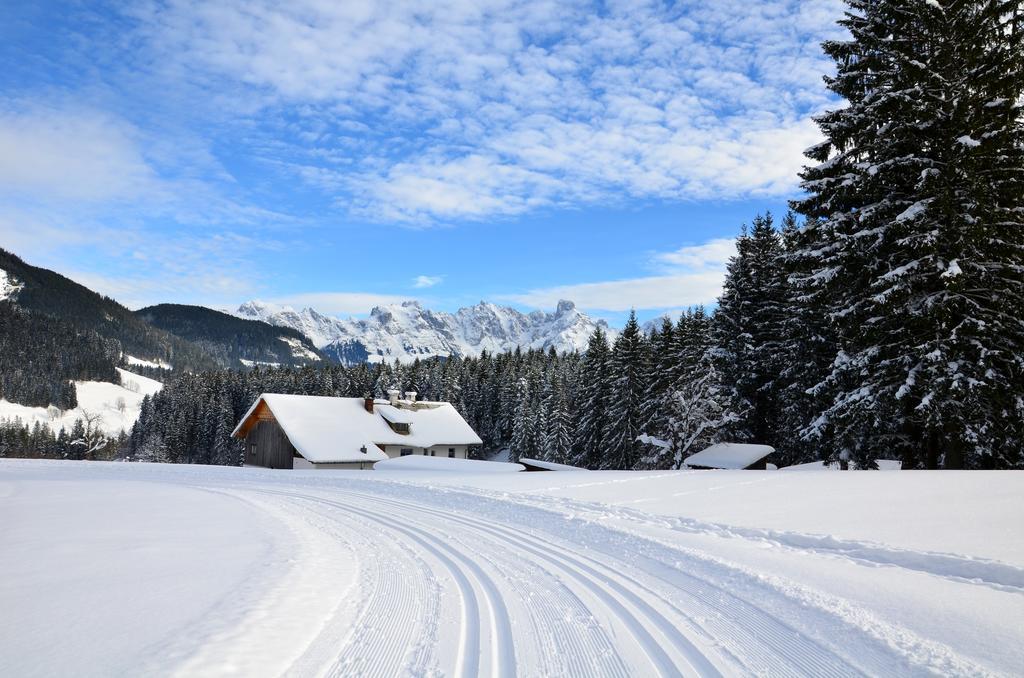 Apartment Tennengebirge ซังต์ มาร์ติน อัม เทนเนนเกอเบียร์เกอ ภายนอก รูปภาพ