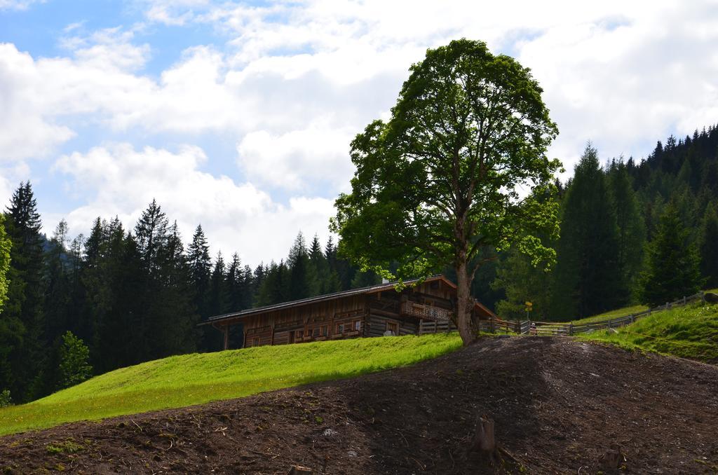 Apartment Tennengebirge ซังต์ มาร์ติน อัม เทนเนนเกอเบียร์เกอ ภายนอก รูปภาพ
