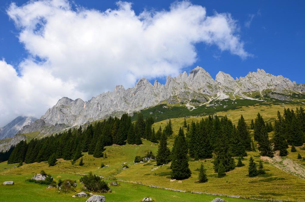 Apartment Tennengebirge ซังต์ มาร์ติน อัม เทนเนนเกอเบียร์เกอ ภายนอก รูปภาพ