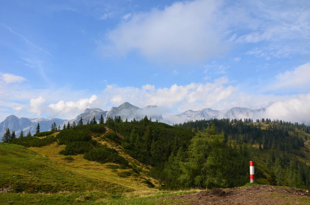 Apartment Tennengebirge ซังต์ มาร์ติน อัม เทนเนนเกอเบียร์เกอ ภายนอก รูปภาพ