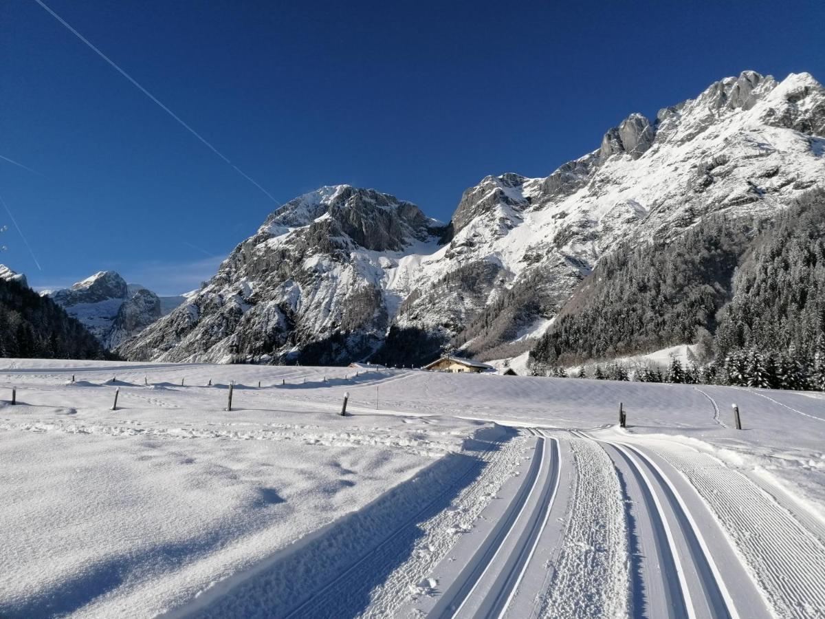 Apartment Tennengebirge ซังต์ มาร์ติน อัม เทนเนนเกอเบียร์เกอ ภายนอก รูปภาพ