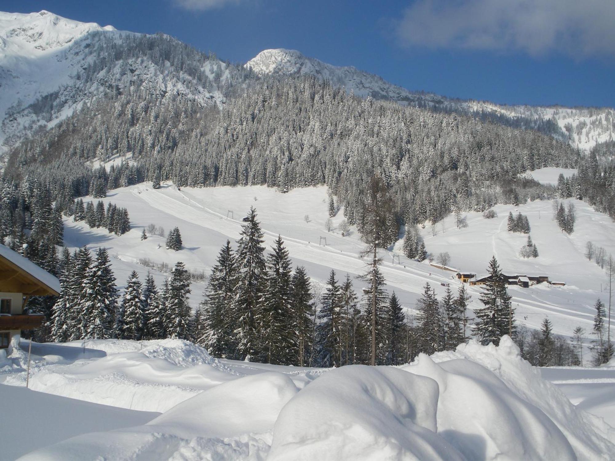 Apartment Tennengebirge ซังต์ มาร์ติน อัม เทนเนนเกอเบียร์เกอ ภายนอก รูปภาพ