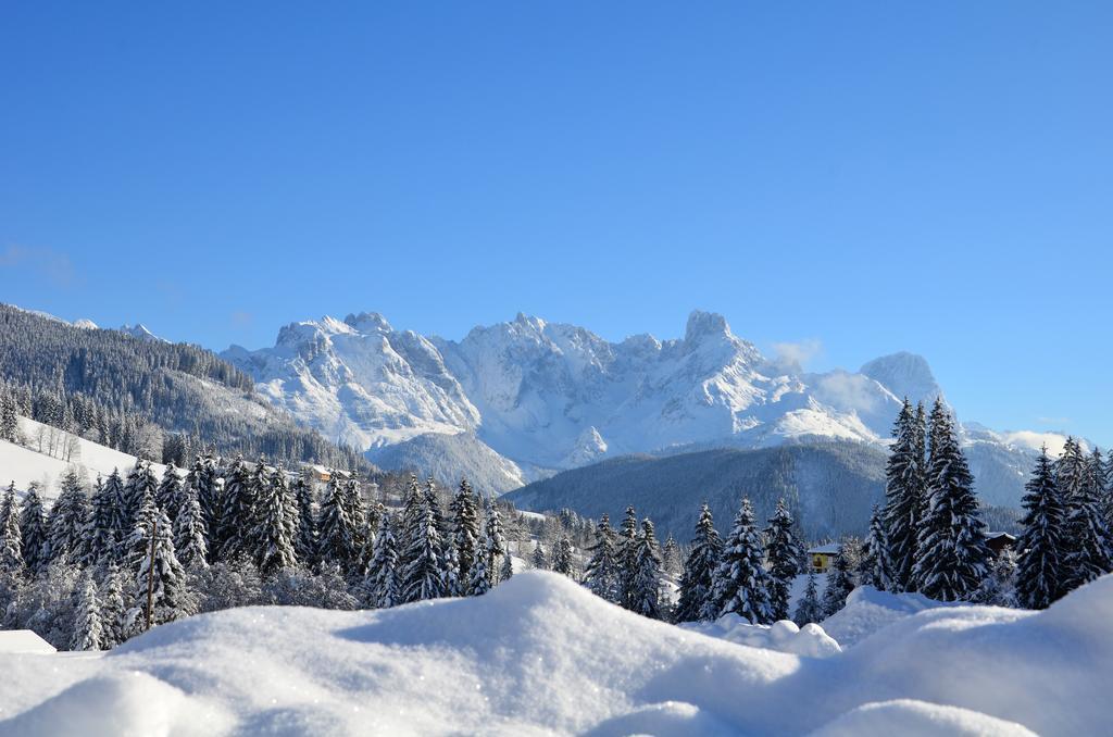 Apartment Tennengebirge ซังต์ มาร์ติน อัม เทนเนนเกอเบียร์เกอ ภายนอก รูปภาพ