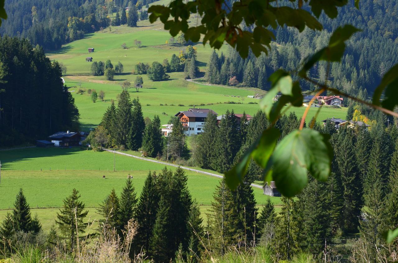 Apartment Tennengebirge ซังต์ มาร์ติน อัม เทนเนนเกอเบียร์เกอ ภายนอก รูปภาพ