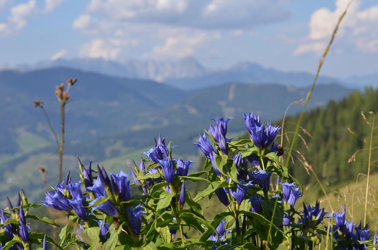 Apartment Tennengebirge ซังต์ มาร์ติน อัม เทนเนนเกอเบียร์เกอ ภายนอก รูปภาพ